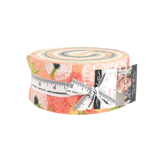 Dandi Duo JELLY ROLL from Moda Fabrics and Robin Pickens