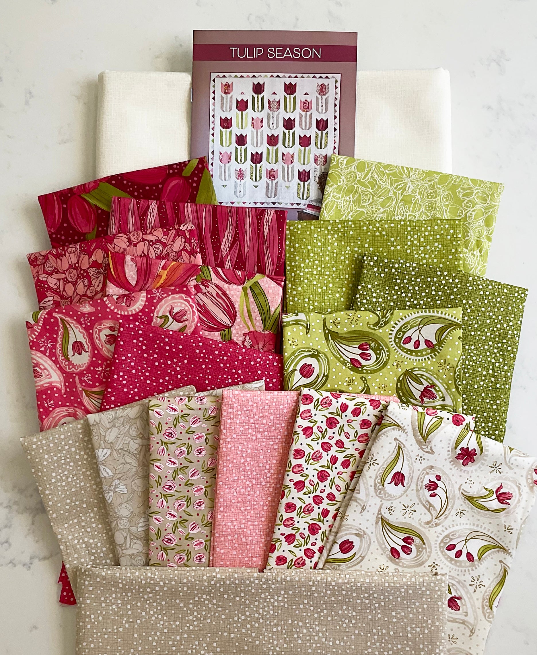 Tulip Season quilt kit in Tulip Tango by Robin Pickens